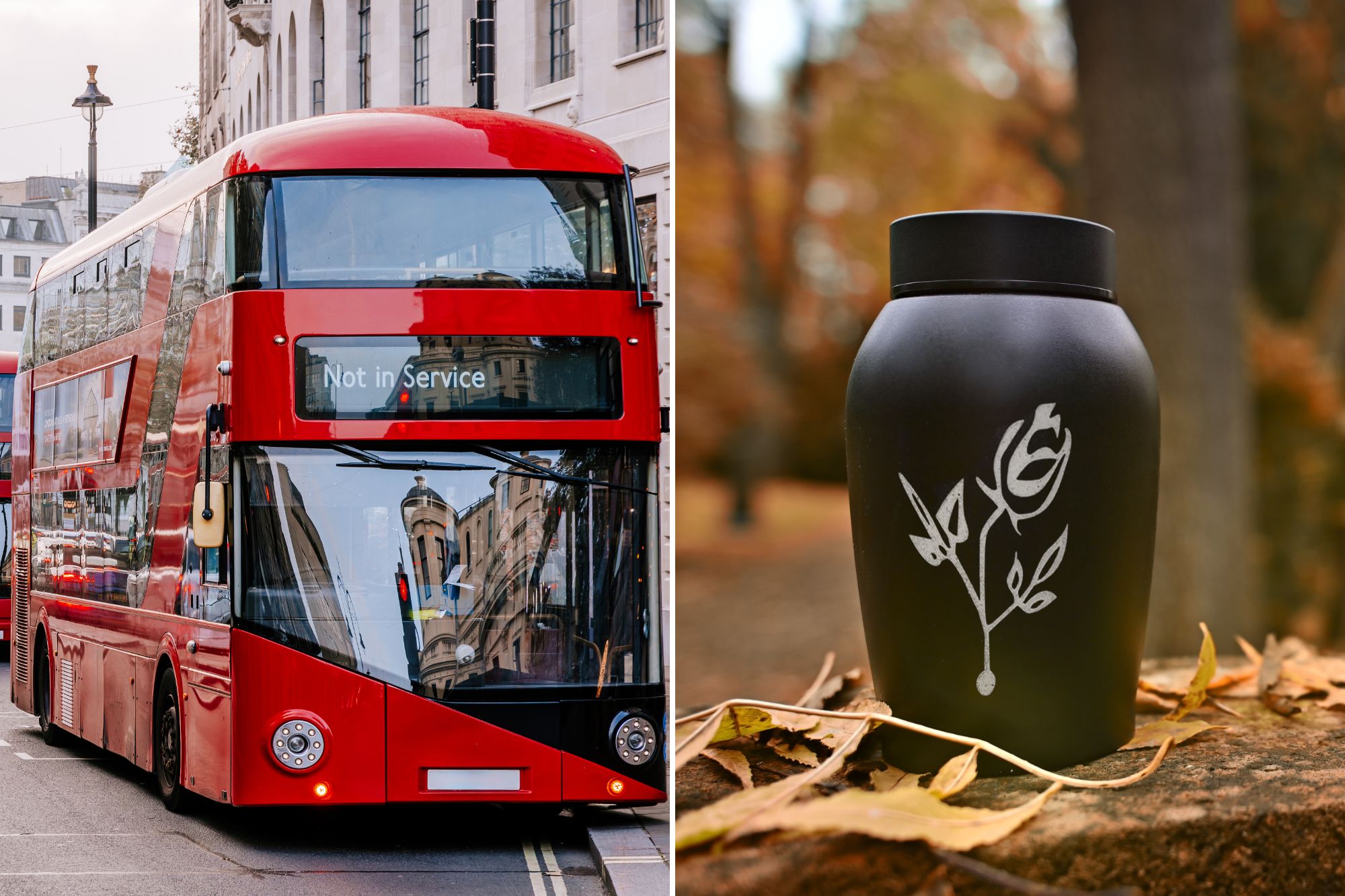 An image collage containing 2 images, Image 1 shows Red double-decker buses on the streets of London, England, UK, Image 2 shows A black urn with a white rose design placed on a stone wall covered with autumn leaves, with a cemetery in the background