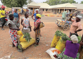 Nigerian women shut out of landownership find a path forward
