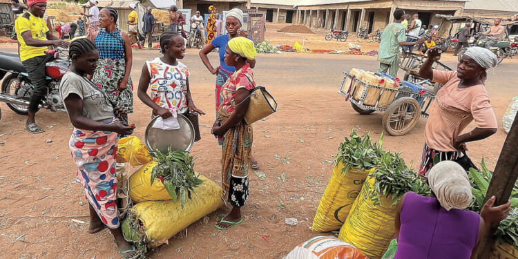 Nigerian women shut out of landownership find a path forward