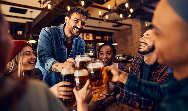 A new study has suggested beer, spirits and cider are more associated with cancer and heart disease than wine (stock image)