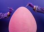Not so mini! Cadbury unveils the world's largest Mini Egg weighing 55kg - the same size as a cheetah