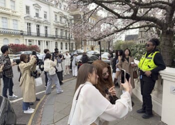 Residents in affluent Notting Hill hired private security guards to handle the influx of snap-happy influencers flocking to the picturesque cherry blossom tree on Stanley Crescent