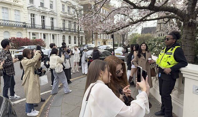Residents in affluent Notting Hill hired private security guards to handle the influx of snap-happy influencers flocking to the picturesque cherry blossom tree on Stanley Crescent