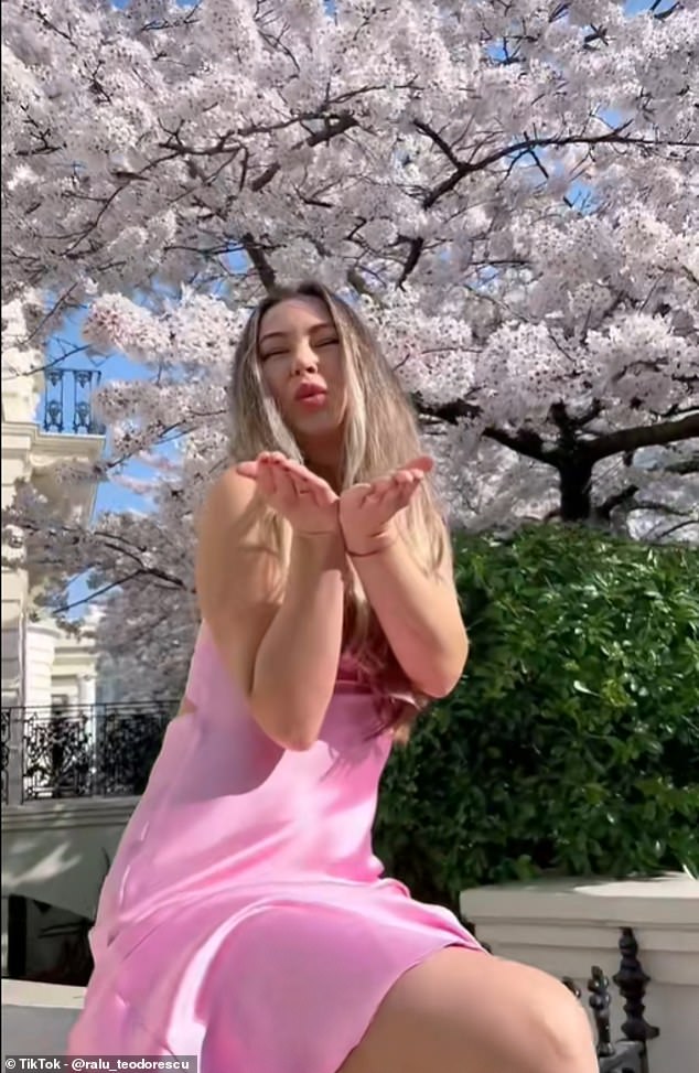 A TikToker in a pink dress poses by the blooming cherry blossom tree on Stanley Crescent