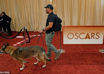 A man walks with a security dog on the red carpet during the Oscars arrivals at the 98th Academy Awards in Hollywood, Los Angeles, California, U.S., March 15, 2026. REUTERS/Carlos Barria