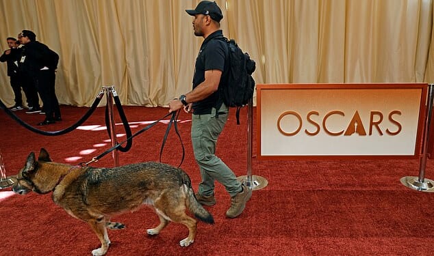A man walks with a security dog on the red carpet during the Oscars arrivals at the 98th Academy Awards in Hollywood, Los Angeles, California, U.S., March 15, 2026. REUTERS/Carlos Barria