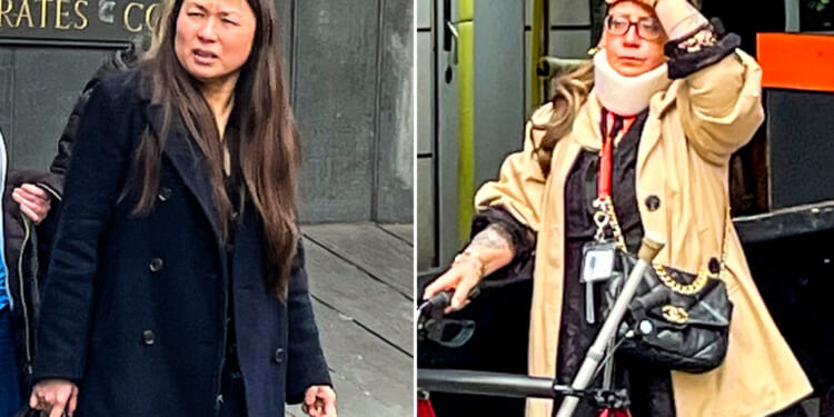 'Out of control' thug battered neighbour with crutch, branded her a 'f***ing b***h' & destroyed wisteria in grim rampage