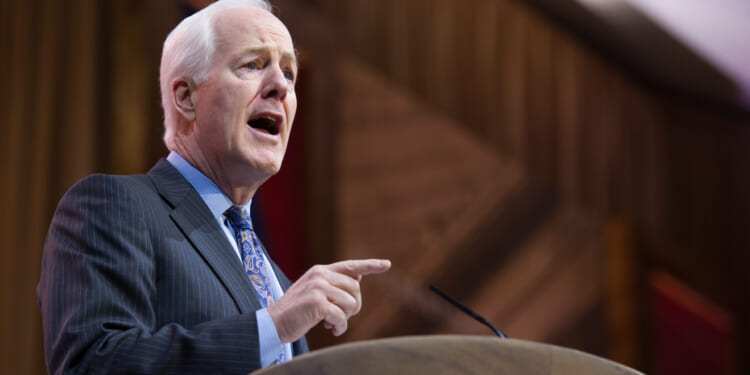 Paxton, Cornyn Advance to Runoff in Texas Republican Senate Primary