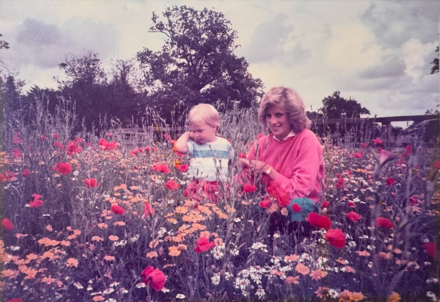 Princess Diana and a child in a field of wildflowers.