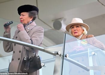 The Princess Royal and Mary Berry were spotted cheering on the horses as the Cheltenham Races came to a dramatic close
