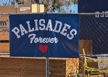 Progressive Bureaucracy Is a Never Ending Exercise in Grifting Incompetents Failing Upward – HotAir