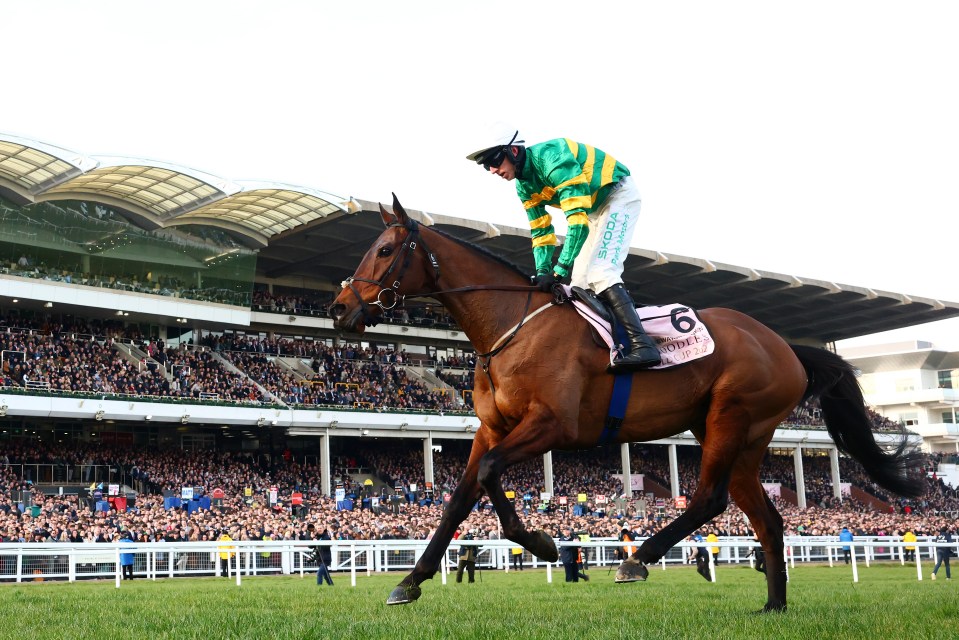 Mark Walsh on Inothewayurthinkin celebrates winning the Boodles Cheltenham Gold Cup Chase.