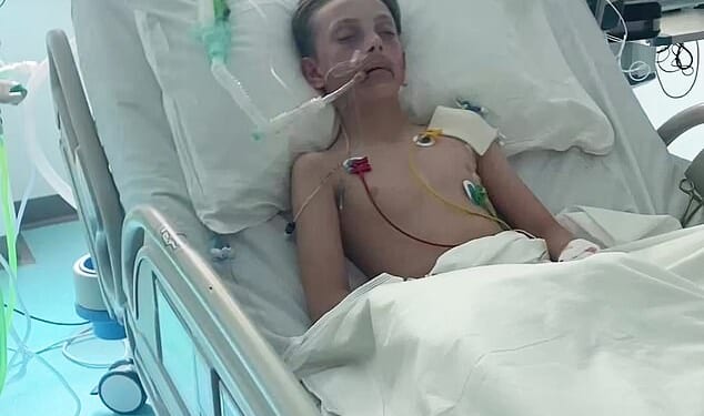 Schoolboy Freddie Fenson (pictured) was put into an induced coma after smoking a spice vape