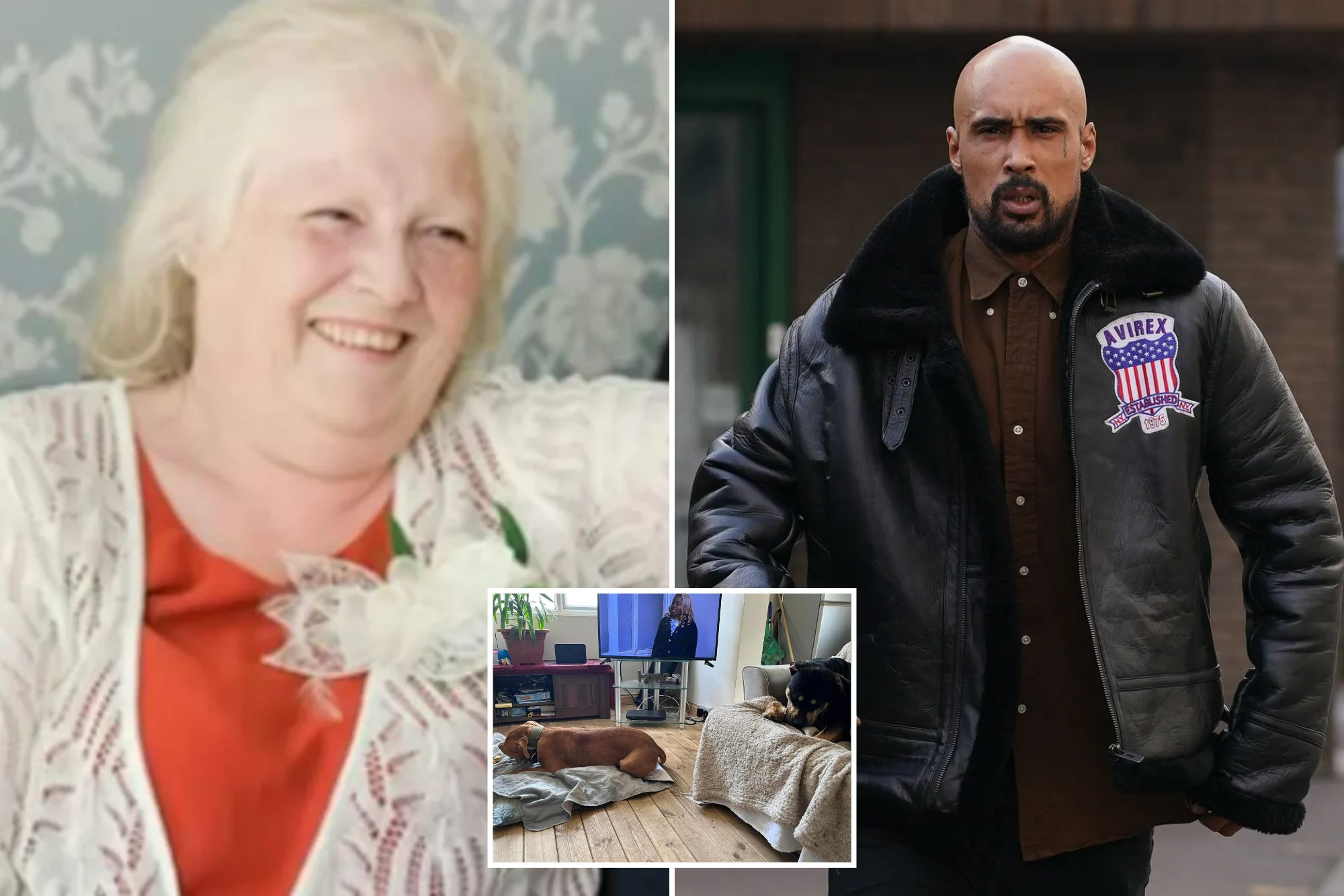 An image collage containing 3 images, Image 1 shows Esther Martin, 68, in a red top with a white lace cardigan and a white flower pinned to it, smiling, Image 2 shows Ashley Warren leaving Chelmsford Crown Court, Image 3 shows Two dogs relaxing indoors, one brown and one black and tan, with a TV on in the background