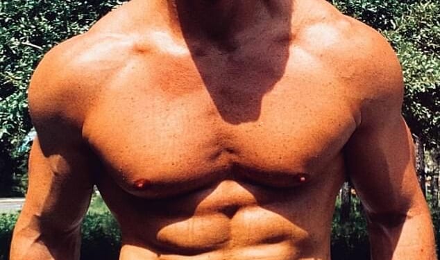 Reacher star Alan Ritchson is NOT charged as police determine he punched neighbor in self defense