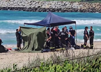 A man and woman aged in their 60s drowned at Shellharbour Beach on Wednesday