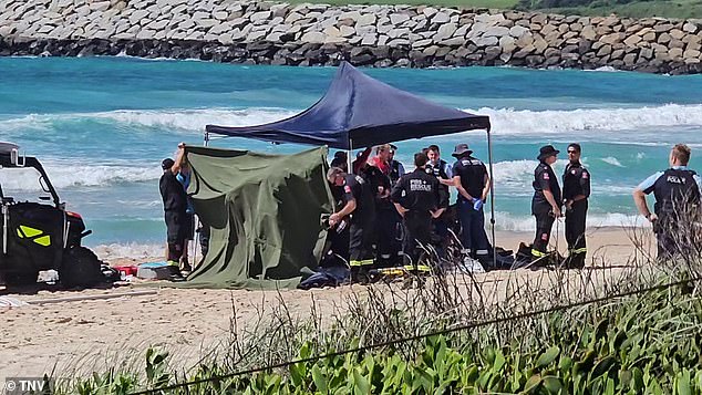 A man and woman aged in their 60s drowned at Shellharbour Beach on Wednesday