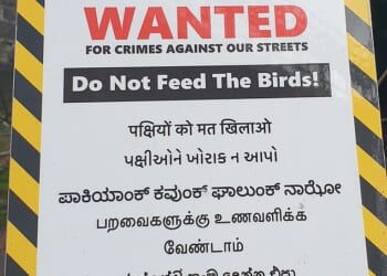 The Brent Council notices were written in English and five South Asian languages