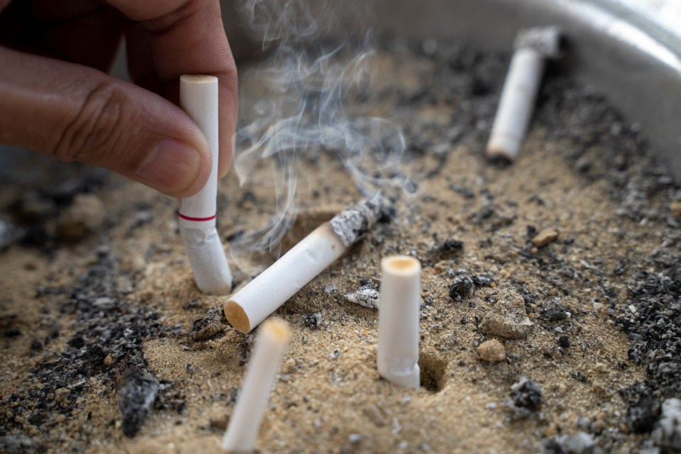 NINTCHDBPICT001065513545