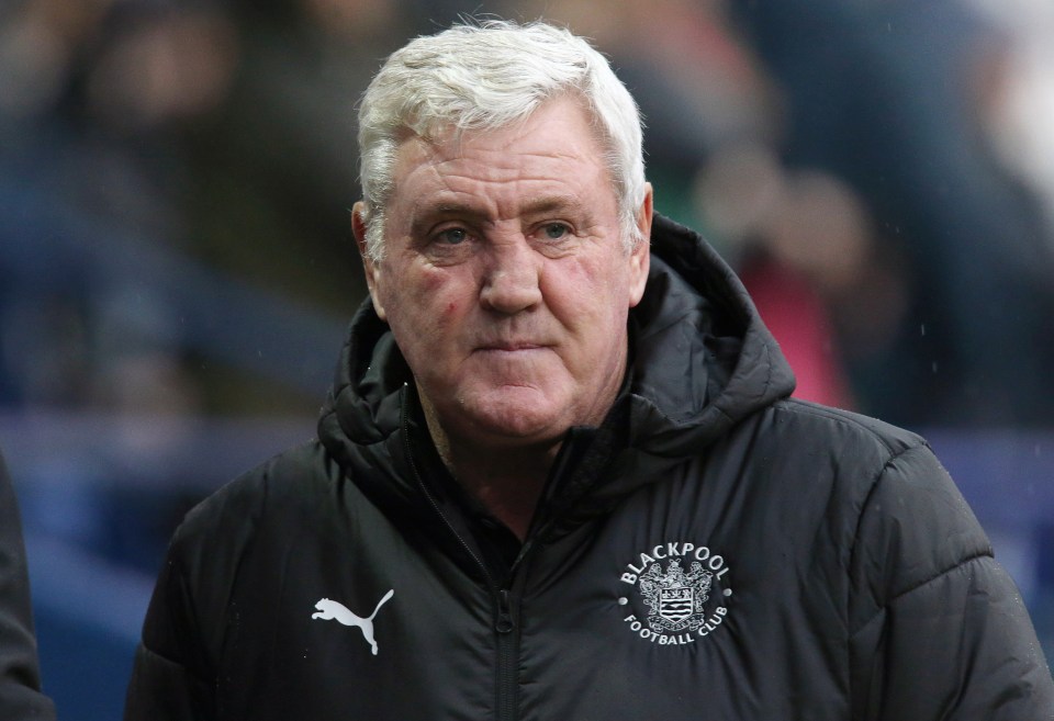 Blackpool FC manager Steve Bruce watching a Sky Bet League One match.