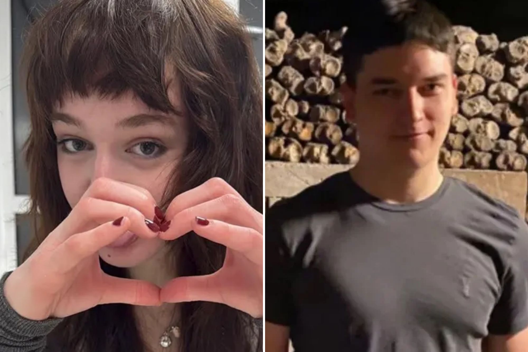 An image collage containing 2 images, Image 1 shows NINTCHDBPICT001065811774, Image 2 shows NINTCHDBPICT001047013903