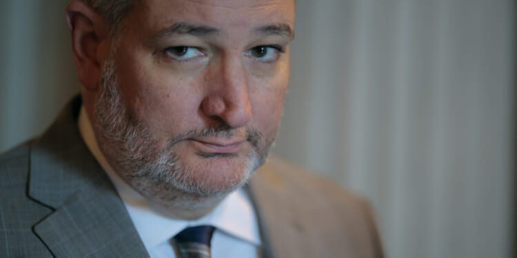 Ted Cruz Is the Republican Kamala Harris