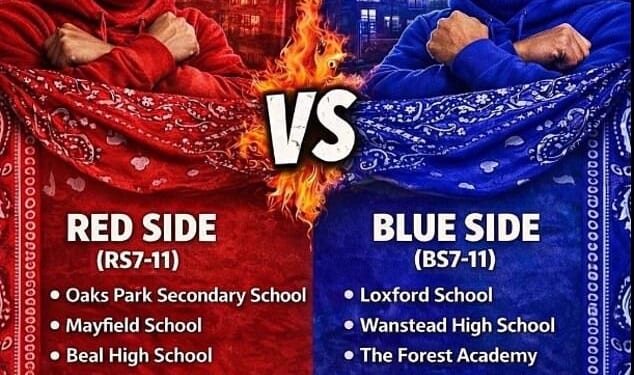 Posters inspired by notorious LA street gangs the Bloods and the Crips featuring men in red and blue balaclavas listing which schools fall under which 'side' have been circulating on Snapchat , TikTok and Instagram
