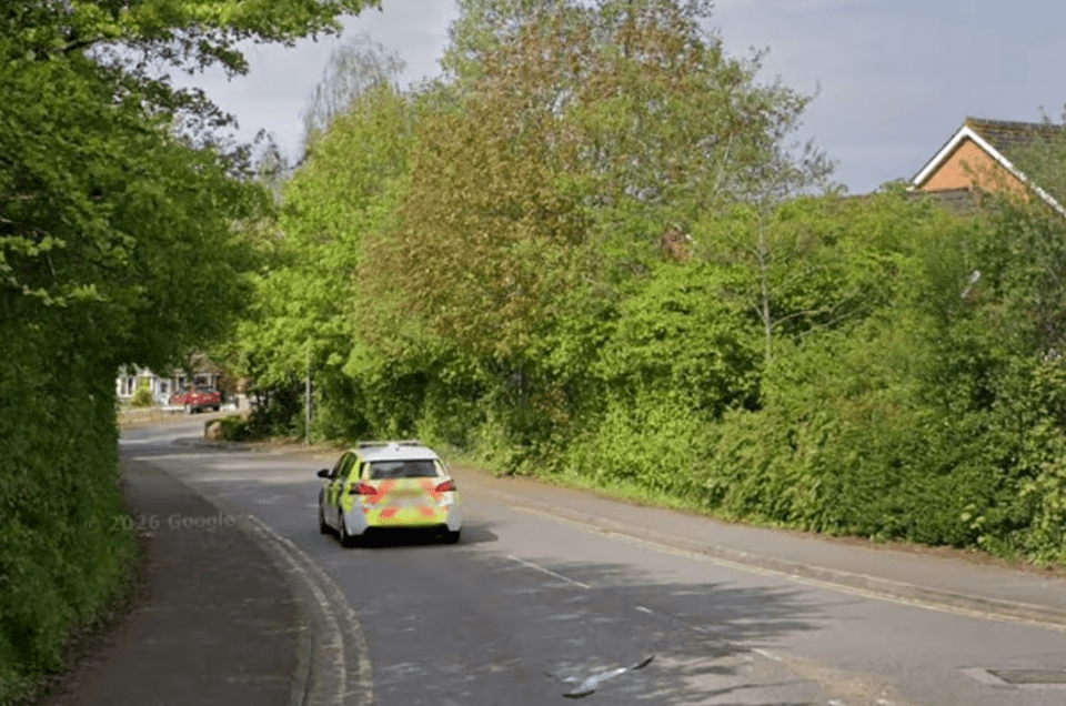 A police car with yellow and white checkered markings on its rear drives away on a tree-lined street.