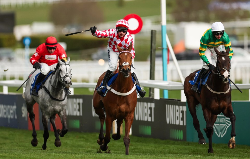 Cheltenham Racing Festival - Day One