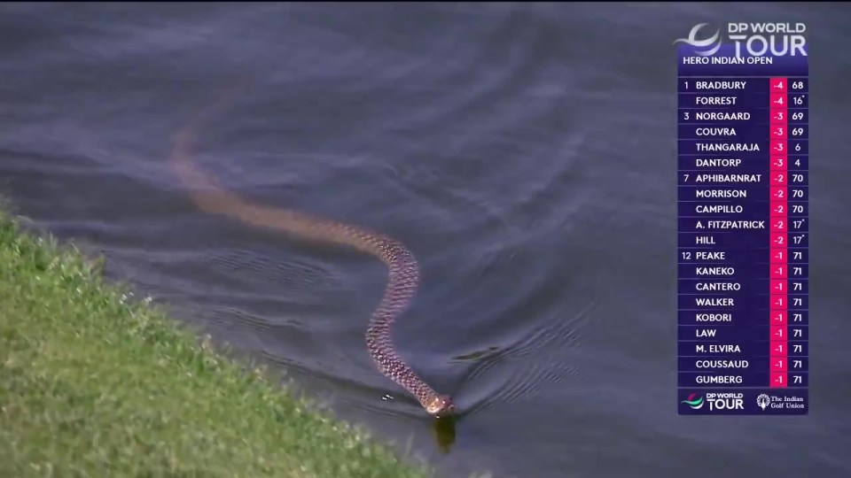 NINTCHDBPICT001069506193