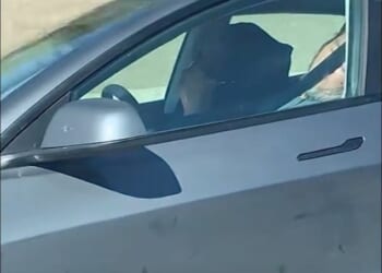 Pictured: An elderly man and woman are seen in the front two seats of their Tesla Model 3 barreling down Highway 4 in the Bay Area city of Pittsburg on Sunday afternoon