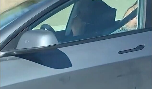 Pictured: An elderly man and woman are seen in the front two seats of their Tesla Model 3 barreling down Highway 4 in the Bay Area city of Pittsburg on Sunday afternoon