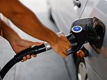 The Morning Poll: Will you look for alternative transport due to concerns about petrol prices?