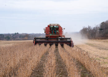 The Trump Administration Risks Losing Its MAHA Credentials