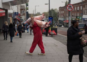 The case against ritual slaughter | Lucy White