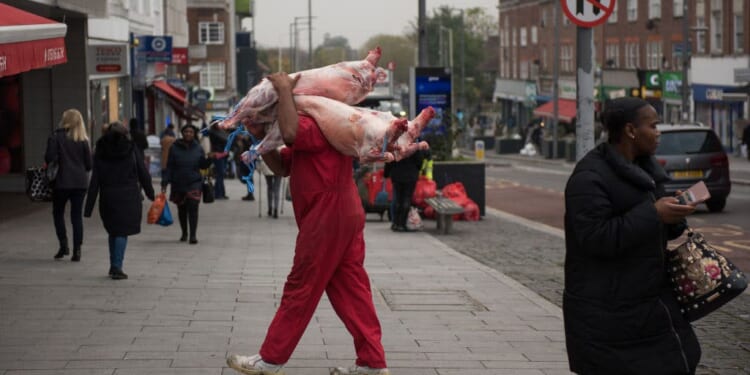 The case against ritual slaughter | Lucy White