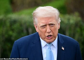 Donald Trump warned Tehran on Saturday it had 48 hours to allow cargo through the vital global shipping lane 'without threat' or he would 'obliterate' their power plants