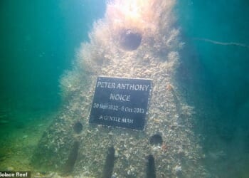 As the popularity of traditional burial techniques fades, more people are looking for unique options, such as becoming part of an artificial reef
