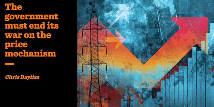 The government must end its war on the price mechanism | Chris Bayliss