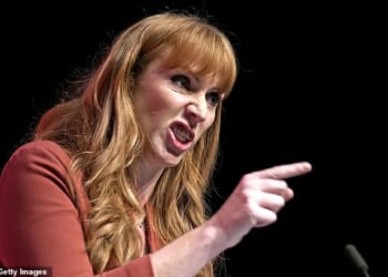 ¿Angela Rayner¿s going for it,¿ a minister tells DAN HODGES. ¿She has decided it¿s time to make her move¿