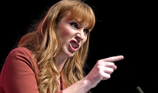 ¿Angela Rayner¿s going for it,¿ a minister tells DAN HODGES. ¿She has decided it¿s time to make her move¿