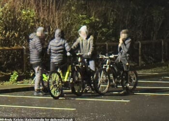 The Daily Mail visited the once proud mining town on Saturday evening, following one pack of teens (pictured) around the town centre