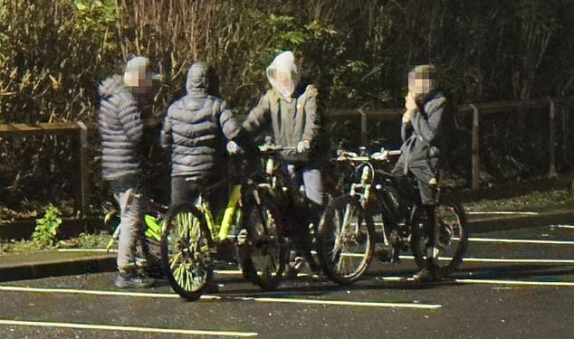 The Daily Mail visited the once proud mining town on Saturday evening, following one pack of teens (pictured) around the town centre