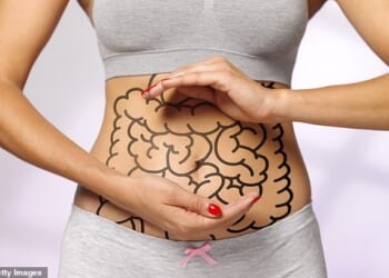 One special connection between brain and body is the gut-brain axis, reveals our writer