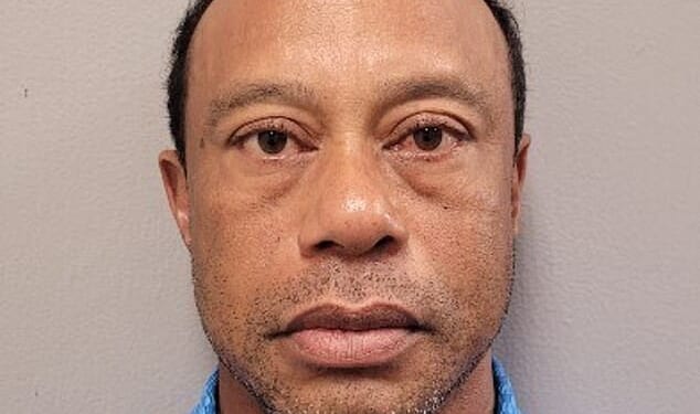 Tiger Woods stares down the lens in his police mugshot after being arrest for DUI on Friday