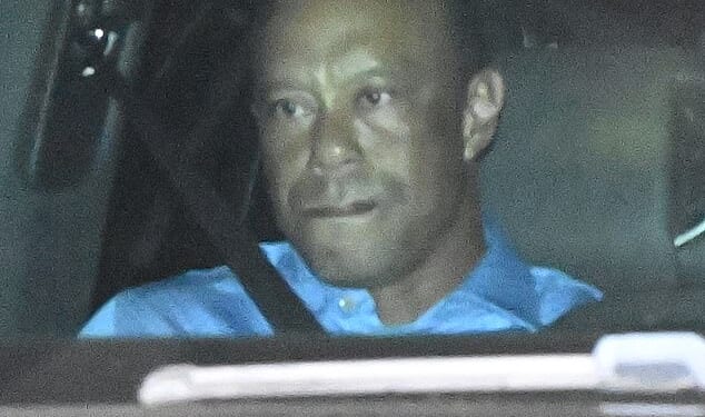 Tiger Woods reportedly had two hydrocodone pills in his pocket when he was arrested for DUI