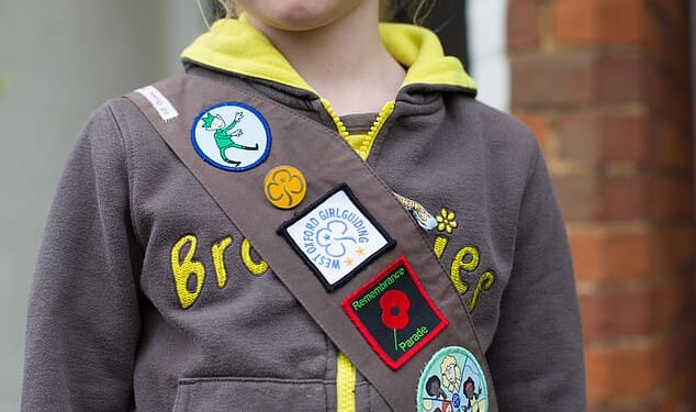 Transgender girls must leave Girlguiding by September 6, the organisation has said following a row over their inclusion (file picture)