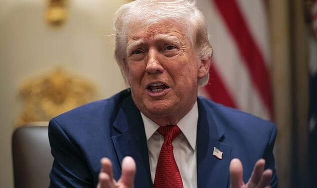 Donald Trump speaks during a Cabinet meeting in the Cabinet Room of the White House on March 26