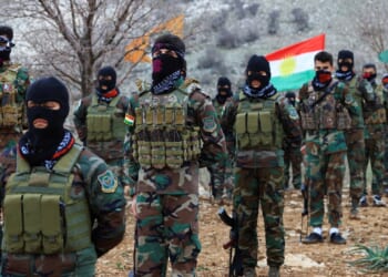 Trump 'gives Iran's Kurds air support & backs militias to seize parts of the country' as 'the CIA will arm their troops'