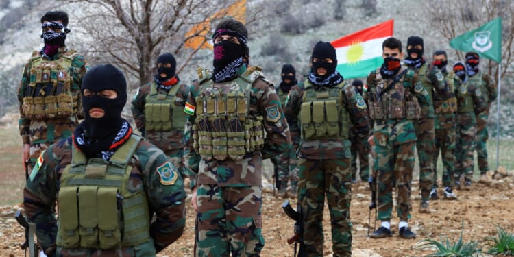 Trump 'gives Iran's Kurds air support & backs militias to seize parts of the country' as 'the CIA will arm their troops'
